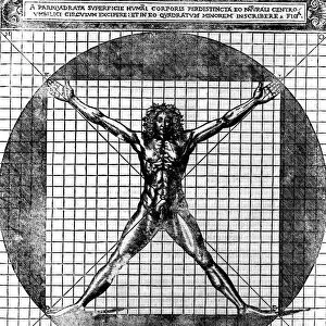 Proportions of the human body after Leonardos studies, also called Vitruvian man