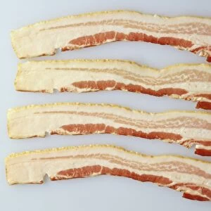 Four rashers of streaky bacon, view from above