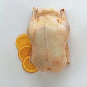 Raw duck and three slices of orange, close-up