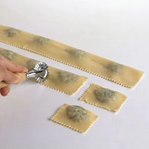 Raw ravioli stuffed with spinach and ricotta, being cut into squares