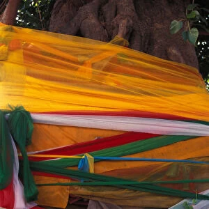 Sacred tree wraped in scarves in Wat Pho buddhist temple