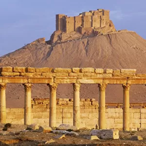 Syria, Palmyra, column ruins with Qalaat ibn Maan Castle in background
