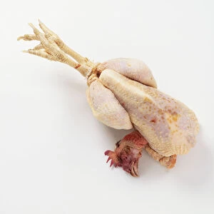 Trussed chicken, with head and feet, view from above
