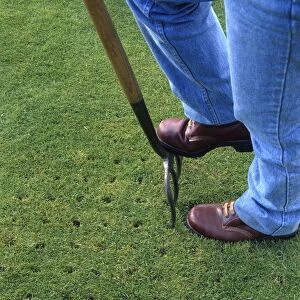 Using a garden fork to aerate grass, close-up