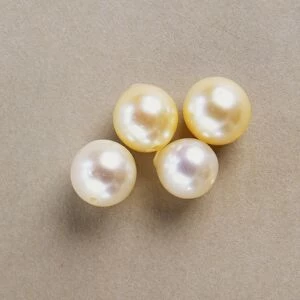 Four white marine-cultured pearls, close up