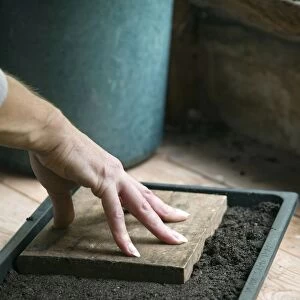Woman using block of wood to push down on compost in tray
