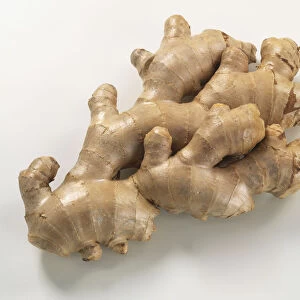 Zingiber officinale, large lump of Ginger, view from above