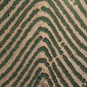 Agricultural patterns as seen from above, France