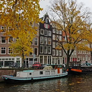Amsterdam fall view of canal
