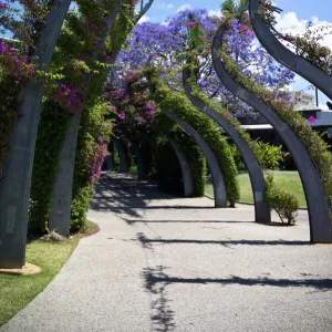 The Arbour, Brisbane