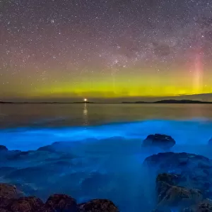 Aurora Australis or Southern Lights in the sky over spectacular blue bioluminescence in the water