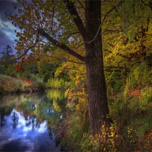 Southern Lightscapes