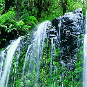 Beauchamp Falls, Great Ocean Road, Otway Ranges, Victoria, Australia