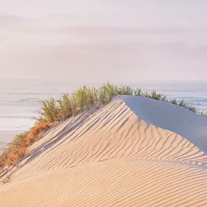 Beautiful sand dunes