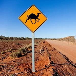Camel warning sign outback Australia