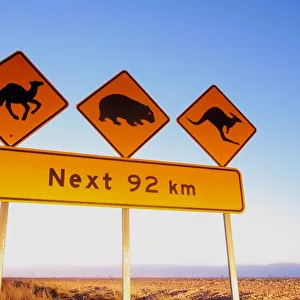Camel wombat and kangaroo sign. Australia
