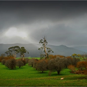 A clearing storm, Upper Blessington, North Central Tasmania, Australia
