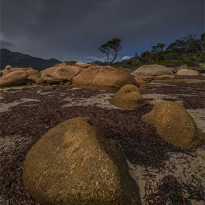 Coastal light Strzelecki National park, Flinders Island, Bass Strait, Tasmania