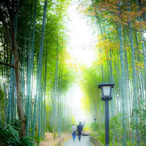 A couple walking on Bamboo Forest Pass at Shuzenji
