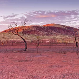 Desert arid landscape in Western Australia
