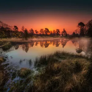 Hartland Moor at first light, Dorset, England, UK