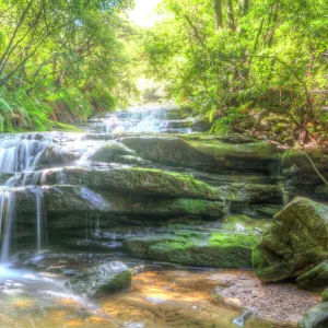 Leura Cascades