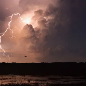 Lightning Strikes