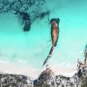 popular-australian-destinations/western-australia-wa-golden-outback-esperance-western-australia/lucky-bay-beach-western-australia