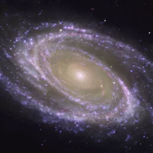 Messier 81 spiral galaxy