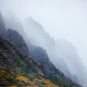 Mist over Cradle Mountain. Tasmania. Australia