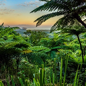 Mount Alexandra Lookout at Daintree rainforest