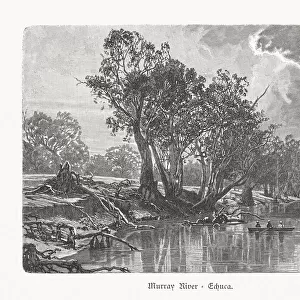 Murray River near Echuca in Australia, wood engraving, published 1897