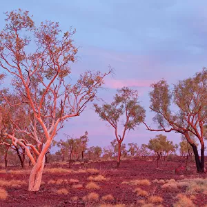 Outback Australian Rural Sunset