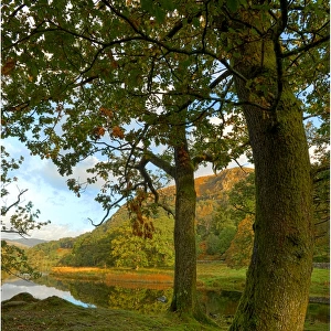 Rydal water, Lakes district, Cumbria, England, United Kingdom