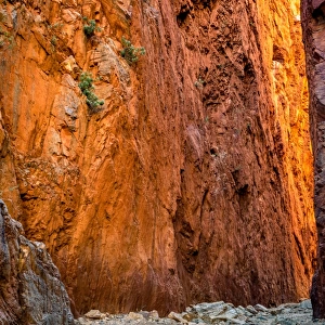 Standley Chasm at West Macdonnell Ranges