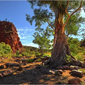 Stubbs waterhole, northern Flinders Ranges, South Australia