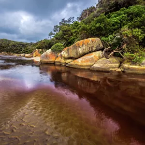 Victoria (VIC) Collection: Wilsons Promontory National Park