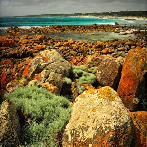 View to Porkies beach, King Island, Bass Strait, Tasmania, Australia