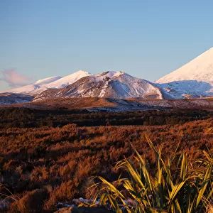 Volcanic scenery with Mt Ngauruhoe in Tongariro National Park