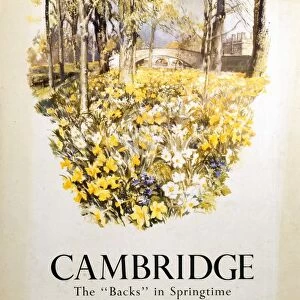 England Mounted Print Collection: Cambridgeshire