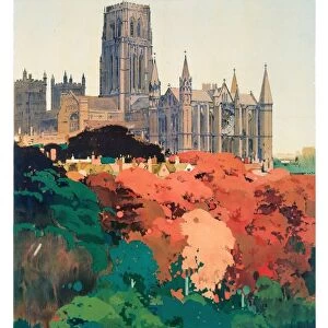 England Mounted Print Collection: County Durham