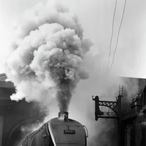 Steam Trains