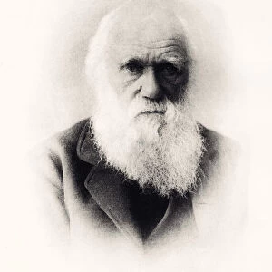 1871 : CHARLES DARWIN -XXXL with lots of details