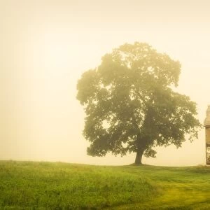 Abandoned House: Rural foggy landscape photograph of a rundown house in a meadow