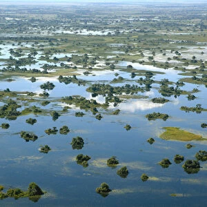 Aerial view, Okavango Delta, Botswana, Africa