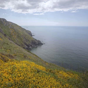 Atlantic Coast, Devon, England, United Kingdom