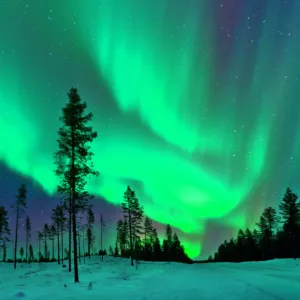 Aurora Borealis Northern Lights Sweden