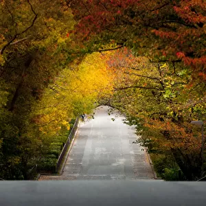 Autumn ambience corridor