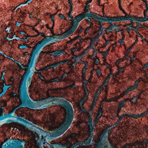 Beautiful pattern created by river delta taken from above