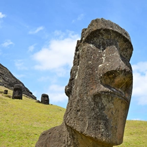 Big half buried moai portrait in Easter Island